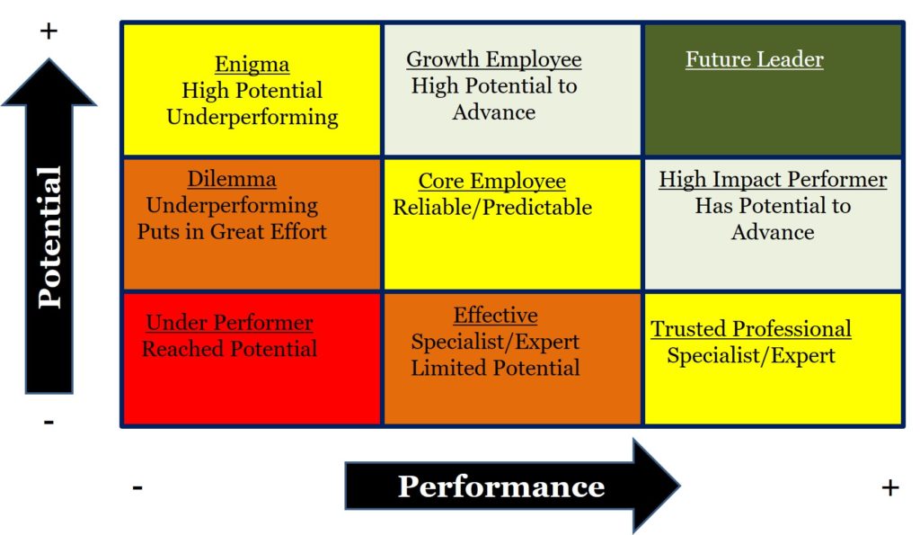 Swimming in the Talent Pool – Fields Of Success Coaching